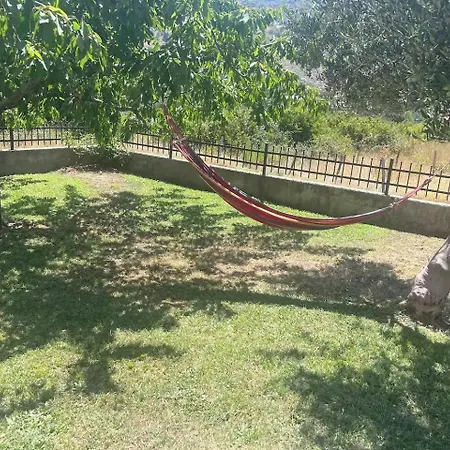 Family Friendly House With A Swimming Pool Srinjine, Split - 23950